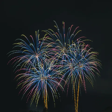 夜空に咲く、光の華