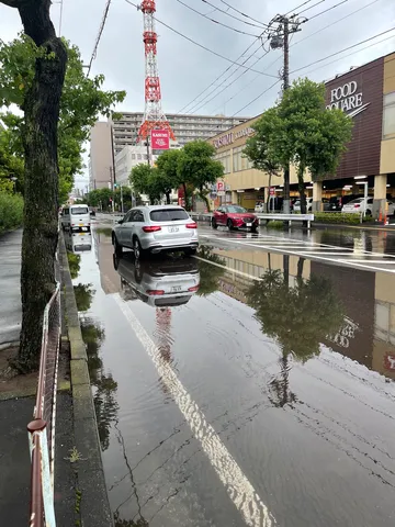 雨上がりの道、映る光景