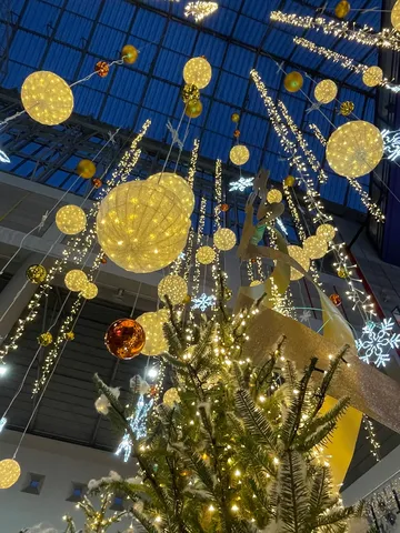 きらめく光のクリスマス空間