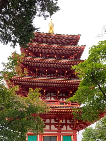 新緑に包まれる五重塔