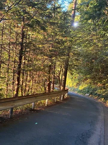 木漏れ日が導く山道
