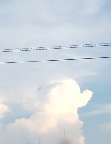 空に浮かぶ、愛らしい象の雲