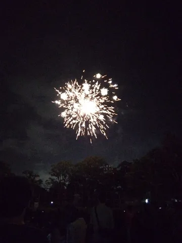 夜空に咲いた一瞬の華