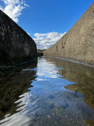 壁際の青い水鏡