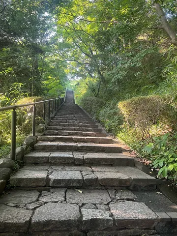 木漏れ日と石段の道