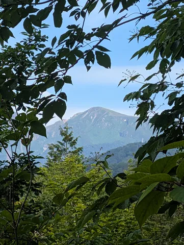 木漏れ日と山頂のコントラスト