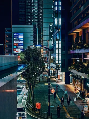 夜の帳、青き光の道