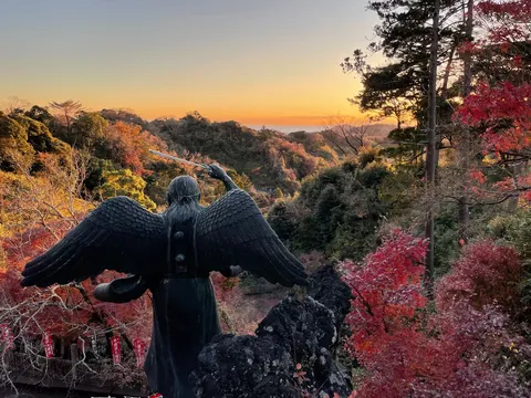 翼が見つめる秋の山影