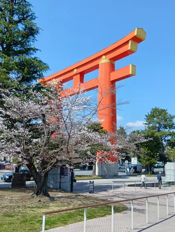 桜と青空、鮮やかな鳥居