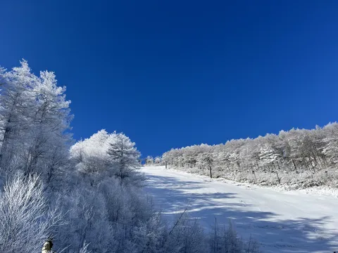冬晴れの銀世界