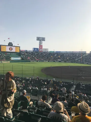 虎党の熱気、甲子園の風物詩
