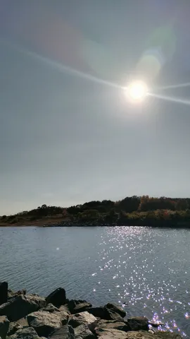 水面の輝き、秋の空