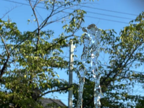 躍動する水しぶきの瞬間