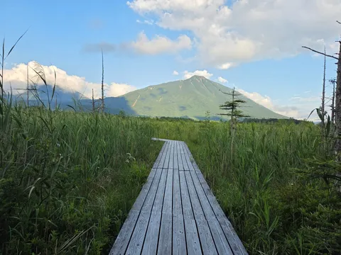 山へ続く静かな木道