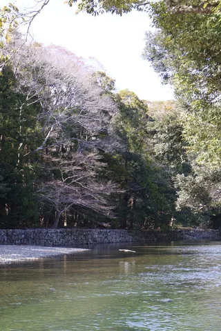 水面を滑る鳥の軌跡