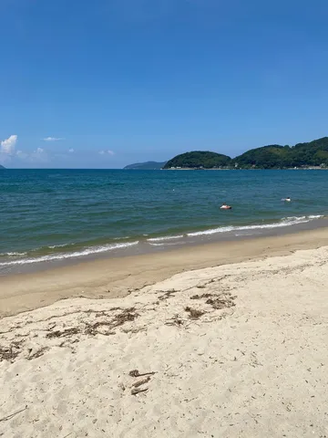 穏やかな夏の海辺