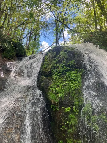 森の奥深く、水のカーテン