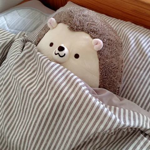 ふわふわくまの眠りの一枚