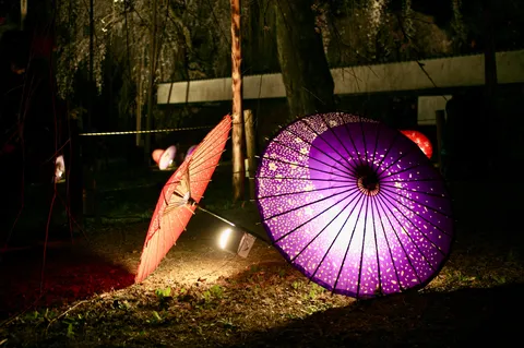 夜に灯る、幻想的な和傘の灯り