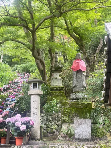 雨上がりの紫陽花と静寂の仏像