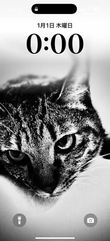 猫の顔に吸い込まれるような瞬間
