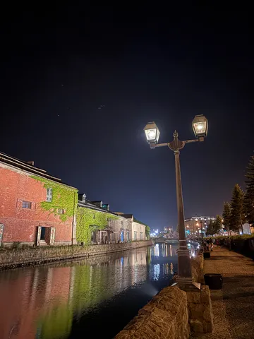 夜の運河と蔦の光景