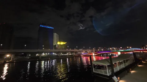 煌めく水面と近未来都市の夜景