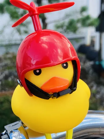 安全第一！アヒルの冒険家