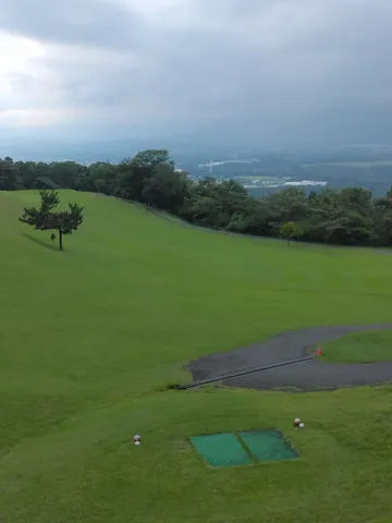 ゴルフ場に佇む孤高の木