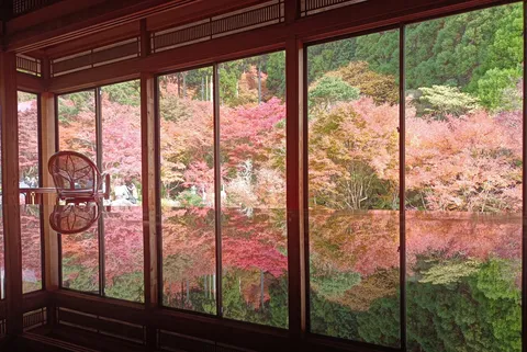 水面に映る錦秋の眺め