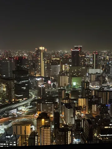 夜景に溶ける光の絨毯