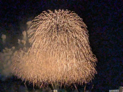 夜空に咲く黄金の華