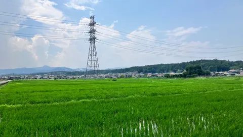 緑と鉄塔の対話風景