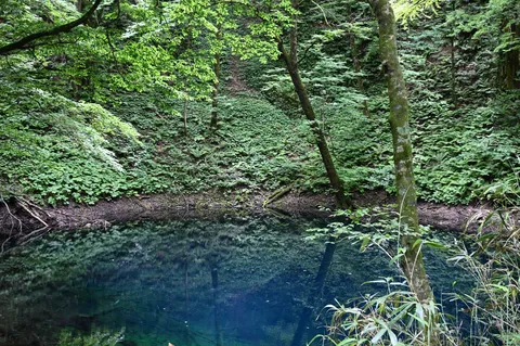 深淵の泉、静寂の森