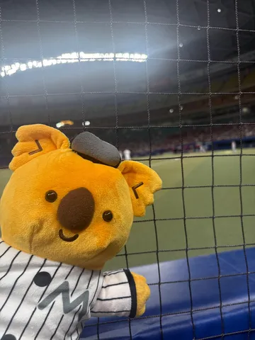 スタジアムの微笑みコアラ