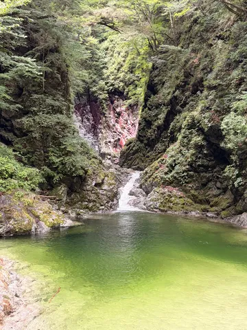 森の奥の秘境エメラルド