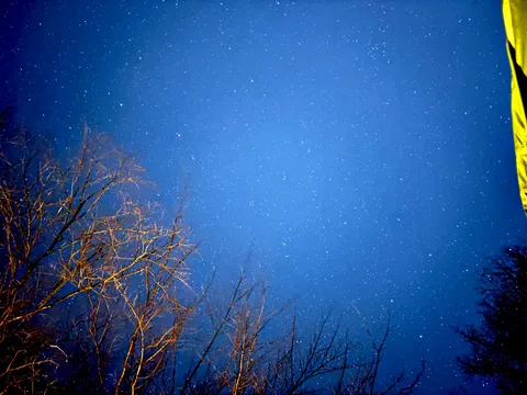 星空と木々の静かな夜