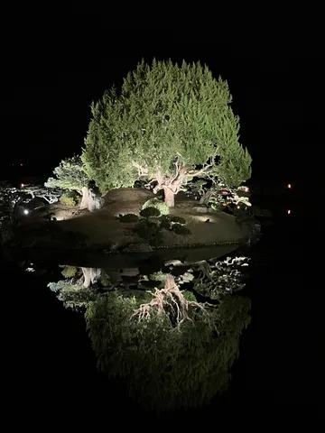 水面に映る神秘