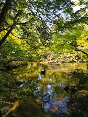 静寂を映す、緑深き池のほとり