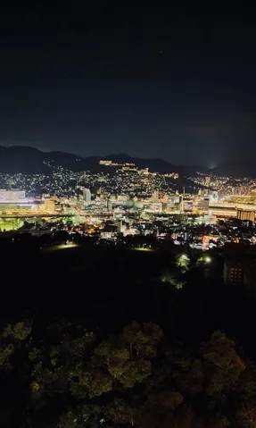 高台から望む都市の夜景