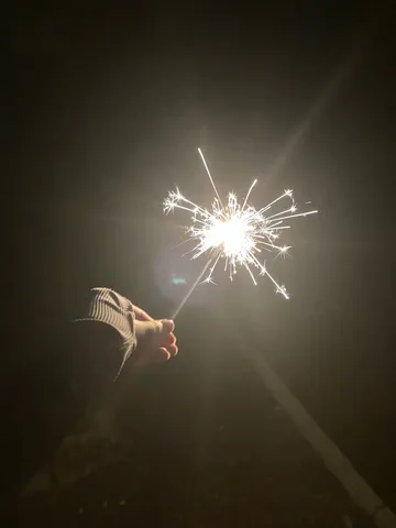夜空に舞う光の華