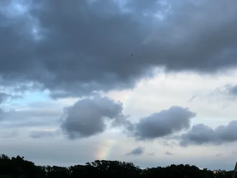 嵐の前の静けさ、鳥の影