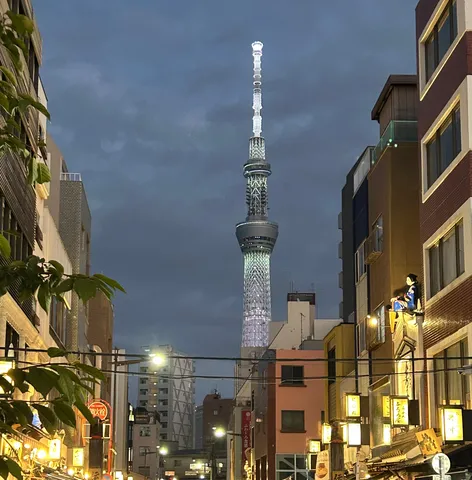 夜景にそびえるスカイツリーと下町の風景