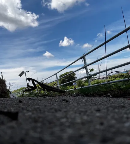 空と鉄の路がつなぐ風景