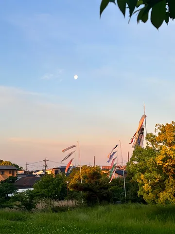 夕暮れ、鯉のぼりと月の空
