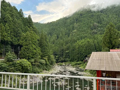 霧の森を流れる川