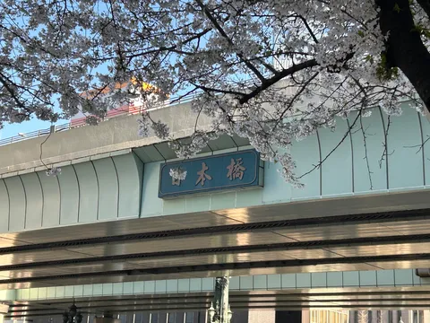 桜が彩る日本橋の風景