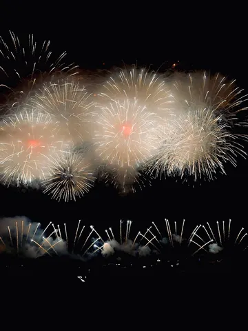 夜空に咲く光の花束