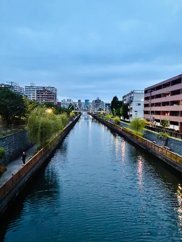 水路に映る夜の風景