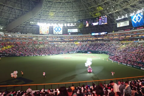 ドームの熱気！煌めく観客席